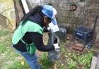La Municipalidad comenzó con las tareas de descacharrado