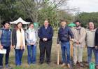 La Municipalidad lanzó un plan de forestación para potenciar el medioambiente de Santa Fe