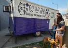 Área Municipal de Protección Animal: balance de enero a agosto