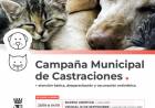 La Campaña de Castraciones atenderá en Barrio Libertad y Vecinal 12 de Septiembre