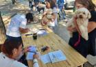 La Municipalidad de Santo Tomé llevó a cabo otra jornada exitosa de vacunación antirrábica gratuita