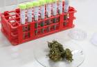 2º Jornada de Cannabis en FBCB: avances a nivel provincial y nacional