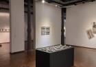 Se conocieron los seleccionados del Salón Anual Nacional Museo Sor Josefa Díaz y Clucellas