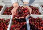 El crecimiento del consumo chino impulsa las exportaciones de América Latina y el Caribe