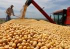 Brasil podría reemplazar a Estados Unidos como proveedor mundial de alimentos