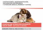 Atención Veterinaria Móvil: Cronograma para el mes de julio