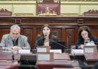 Funcionamiento del Estado, seguridad y participación ciudadana en el eje del debate