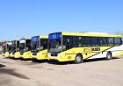 El sistema de transporte público suma siete nuevas unidades al servicio de colectivos