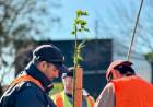 Santo Tomé celebró el Día del Árbol con una jornada de plantación