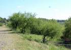 La Municipalidad realizará trabajos de mantenimiento en el talud de la Costanera Oeste