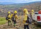 Regresaron a Santa Fe los brigadistas que fueron a colaborar en el control de incendios forestales en Chubut