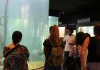El Acuario del Río Paraná celebra su 8° aniversario con actividades abiertas y gratuitas para toda la familia