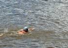 Santo Tomé fue sede de la primera fecha del Campeonato Argentino de Aguas Abiertas