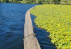 La Municipalidad avanza en la limpieza del lago del Parque del Sur