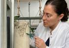 Científicas argentinas logran reparar fisuras en el hormigón con bacterias