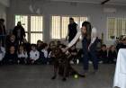 En el Día del Animal, IMUSA promueve la tenencia responsable en las escuelas