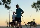 Santa Fe avanza en más protección y cuidado para los animales de compañía