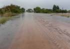 Santa Fe declaró la emergencia agropecuaria en el norte provincial y dispuso alivios impositivos para productores afectados
