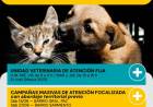 Protección Animal Municipal: servicios, campañas y canales de denuncia para junio