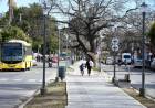 Con actividades para toda la familia, Provincia y Municipalidad inauguran la puesta en valor del cantero central de J.J. Paso