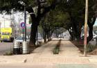 Aristóbulo del Valle: se inaugura la renovación de la avenida con actividades para toda la familia