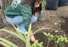 La Municipalidad realizó tareas de limpieza y desmalezado integral en el Corredor Escalante