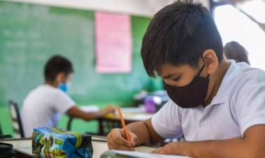 El protocolo para las escuelas tendrá como principal eje la vacunación