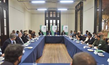 Jatón reunió nuevamente al Consejo de Seguridad