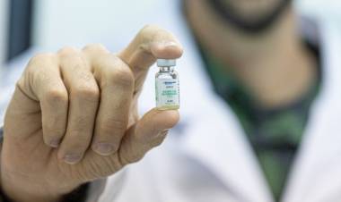 SENASA aprobó una innovadora vacuna contra la rabia animal