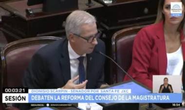 Scarpin: “El proyecto del oficialismo de reforma del Consejo de la Magistratura no piensa en la gente”