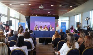 La provincia participó del encuentro del Consejo Consultivo de Representantes de Relaciones Internacionales y de la Comisión de Género y Diversidad de la Zicosur 