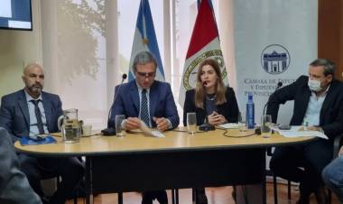 Lionela Catalini manifestó su preocupación por el robo de cables en Rosario y Santa Fe 