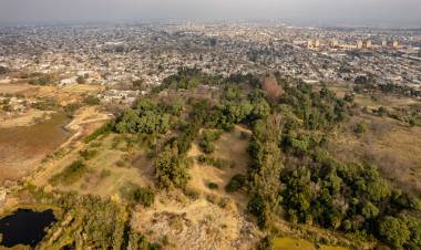 Vacaciones en Santa Fe: recorridas guiadas por el Jardín Botánico