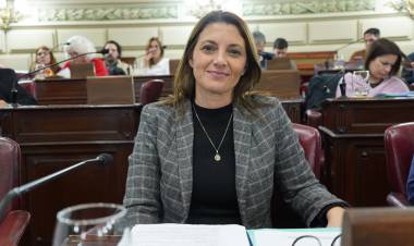 Florito: "El estado tiene el deber indelegable de abordar la prevención de adicciones"