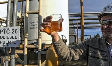 Vehículos oficiales empezarán a trabajar "con biodiésel al 100%"