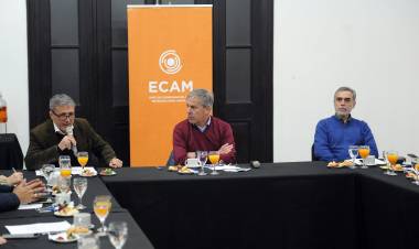 Jatón encabezó una nueva reunión del Consejo de Gobierno de ECAM