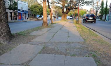 La Municipalidad licitará obras para renovar la avenida J.J. Paso