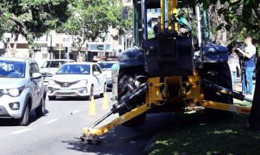 La Municipalidad completa estudios de suelo en bulevar al 1600