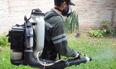 Dengue: Salud del Municipio detecta descenso de casos y solicita continuar con las medidas preventivas