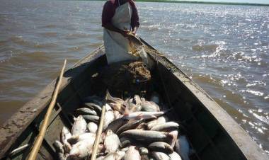 Un fallo histórico en defensa del recurso ictícola de la provincia