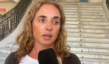 Dengue: tercera semana con descenso de la curva de casos