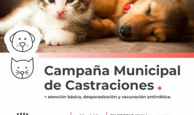 La Campaña Municipal de Castraciones sigue atendiendo en distintos puntos de la ciudad