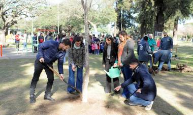 Plan de Forestación: junto a docentes, alumnos y vecinos, el municipio plantó 36 árboles en la Plaza Escalante