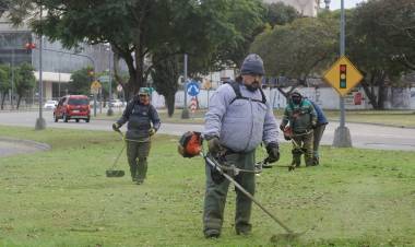 Desmalezamiento y limpieza: los servicios municipales previstos para esta semana