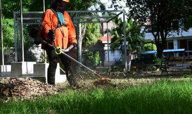 Desmalezamiento y limpieza: los servicios municipales previstos para esta semana