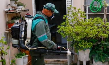 Lucha contra el dengue: habrá jornadas de concientización y descacharrado