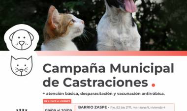 La Campaña Municipal de Castraciones sigue recorriendo la ciudad