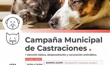 La Campaña de Castraciones continuará atendiendo en el Barrio Zaspe y el Club Alianza