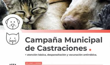 La Campaña de Castraciones atenderá en Barrio Libertad y Vecinal 12 de Septiembre
