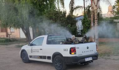 La Municipalidad de Santo Tomé comenzó con el Programa de Fumigación 2024/2025